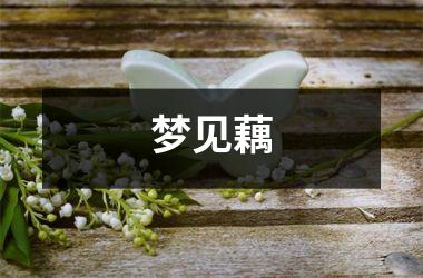梦见藕