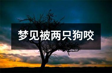 <h3>梦见被两只狗咬