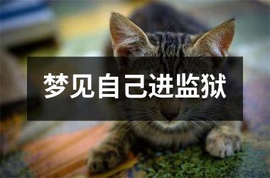 <h3>梦见自己进监狱