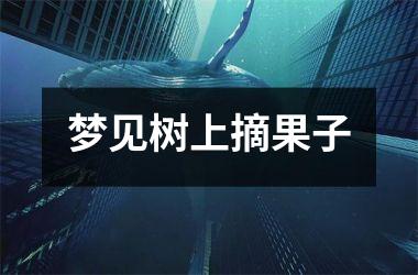<h3>梦见树上摘果子