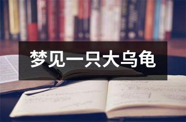 <h3>梦见一只大乌龟