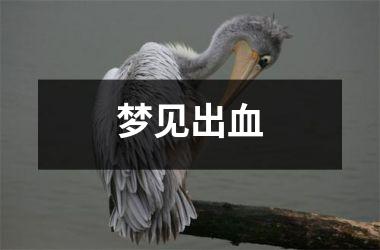 <h3>梦见出血