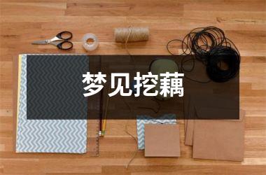 <h3>梦见挖藕