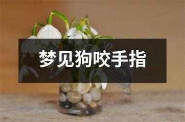 梦见狗咬手指