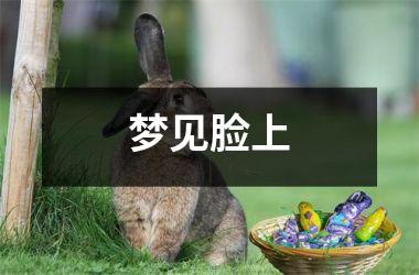 <h3>梦见脸上