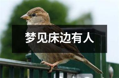 <h3>梦见床边有人