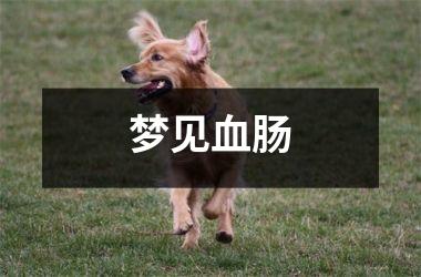 <h3>梦见血肠