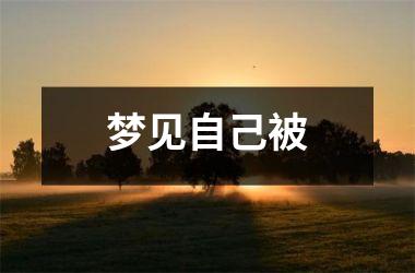 <h3>梦见自己被