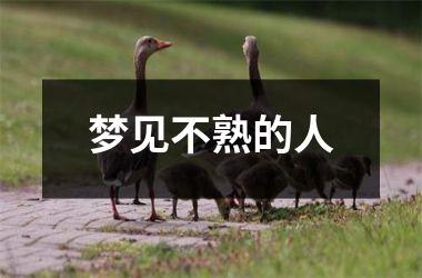 <h3>梦见不熟的人
