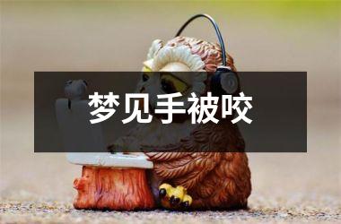 <h3>梦见手被咬