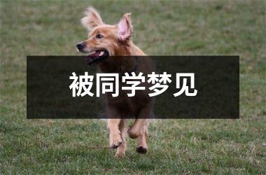 <h3>被同学梦见