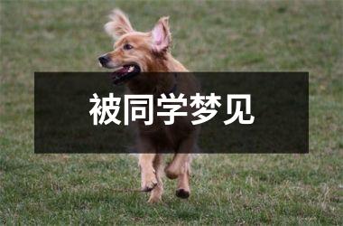 被同学梦见