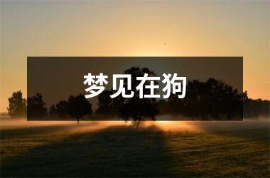 梦见在狗