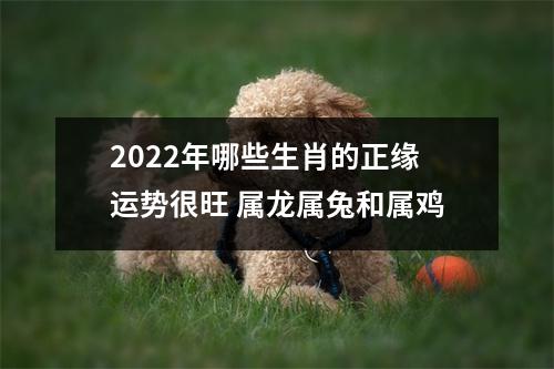 <h3>2025年哪些生肖的正缘运势很旺属龙属兔和属鸡