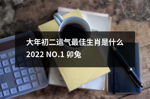<h3>大年初二运气佳生肖是什么2025NO.1卯兔