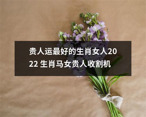 贵人运好的生肖女人2022生肖马女贵人收割机