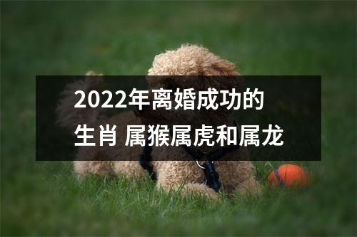 2025年离婚成功的生肖属猴属虎和属龙