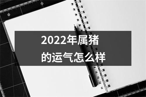 2022年属猪的运气怎么样