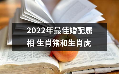 2025年佳婚配属相生肖猪和生肖虎