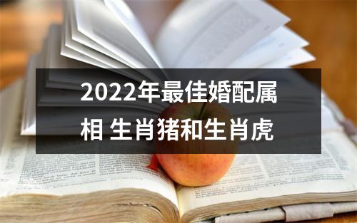 2022年佳婚配属相生肖猪和生肖虎