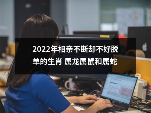 2022年相亲不断却不好脱单的生肖属龙属鼠和属蛇