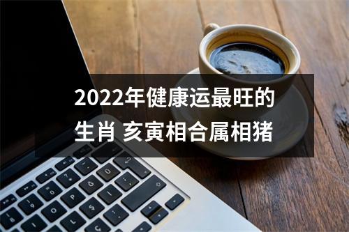 2022年健康运旺的生肖亥寅相合属相猪