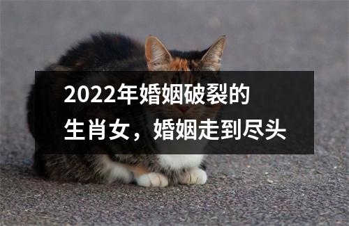 2025年婚姻破裂的生肖女，婚姻走到尽头