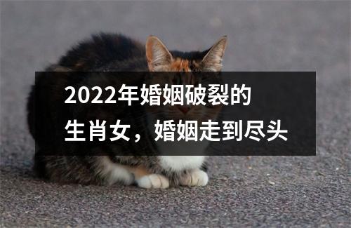 2022年婚姻破裂的生肖女，婚姻走到尽头