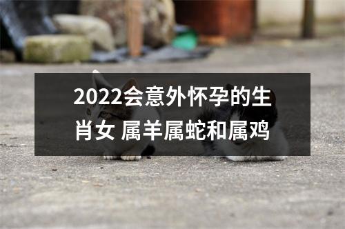 2022会意外怀孕的生肖女属羊属蛇和属鸡