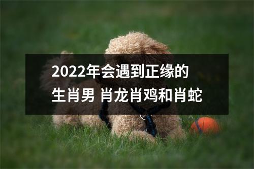 2022年会遇到正缘的生肖男肖龙肖鸡和肖蛇