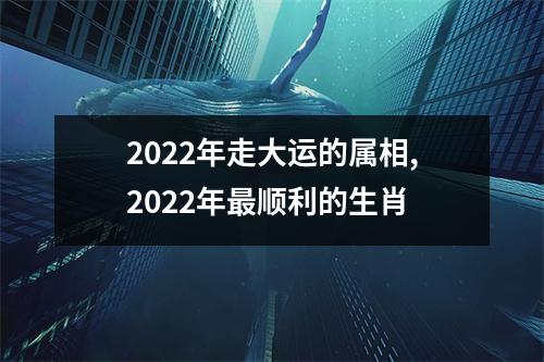 2022年走大运的属相,2022年更顺利的生肖