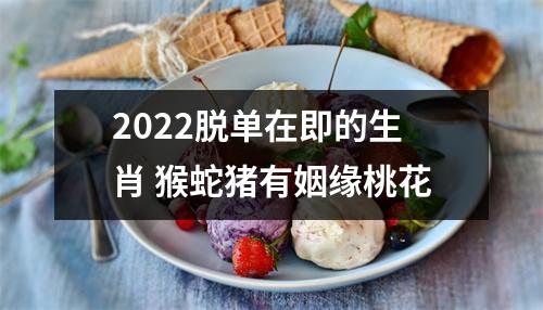 2025脱单在即的生肖猴蛇猪有姻缘桃花