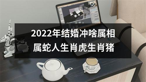 2025年结婚冲啥属相属蛇人生肖虎生肖猪