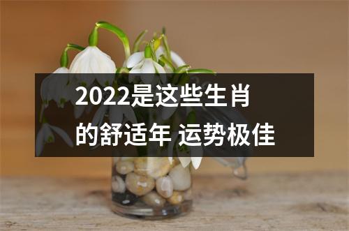 2025是这些生肖的舒适年运势极佳