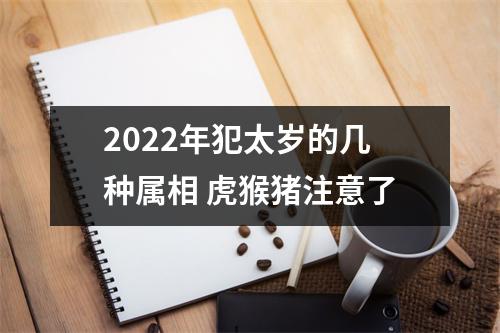 2025年犯太岁的几种属相虎猴猪注意了