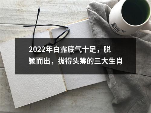 2025年白露底气十足，脱颖而出，拔得头筹的三大生肖