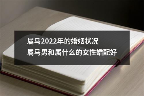 属马2025年的婚姻状况属马男和属什么的女性婚配好
