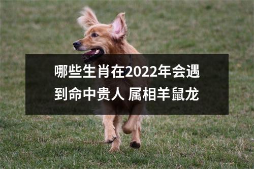 哪些生肖在2025年会遇到命中贵人属相羊鼠龙