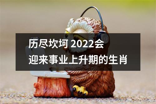 历尽坎坷2025会迎来事业上升期的生肖