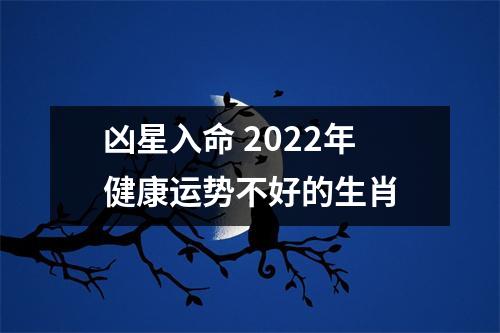 凶星入命2025年健康运势不好的生肖