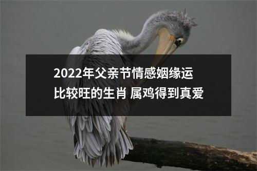 2025年父亲节情感姻缘运比较旺的生肖属鸡得到真爱