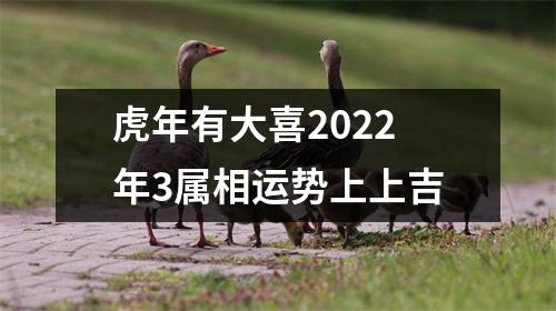 虎年有大喜2025年3属相运势上上吉