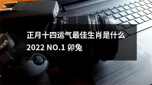 正月十四运气佳生肖是什么2025NO.1卯兔