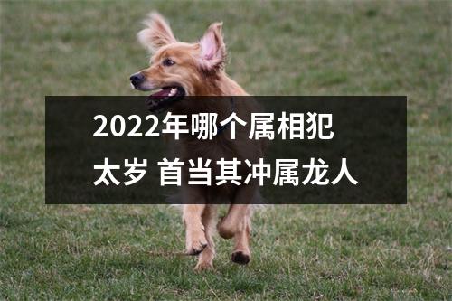 2025年哪个属相犯太岁首当其冲属龙人