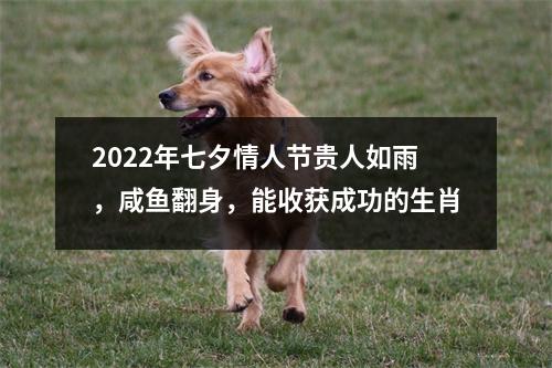 2025年七夕情人节贵人如雨，咸鱼翻身，能收获成功的生肖