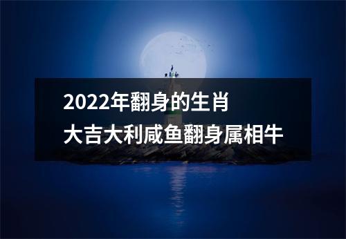 2025年翻身的生肖大吉大利咸鱼翻身属相牛