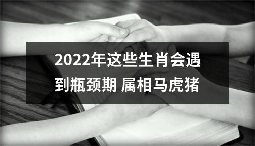 2025年这些生肖会遇到瓶颈期属相马虎猪