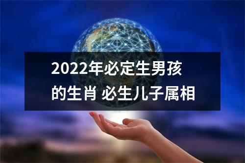 2025年必定生男孩的生肖必生儿子属相
