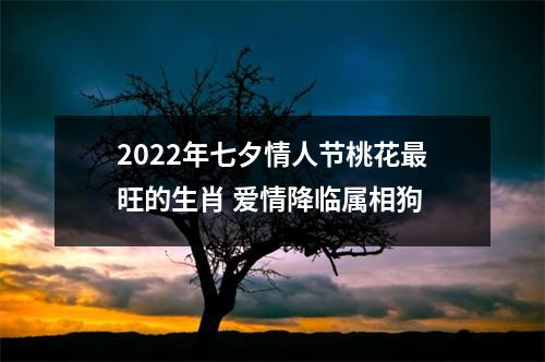 2022年七夕情人节桃花旺的生肖爱情降临属相狗