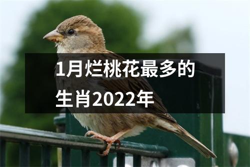 1月烂桃花多的生肖2025年